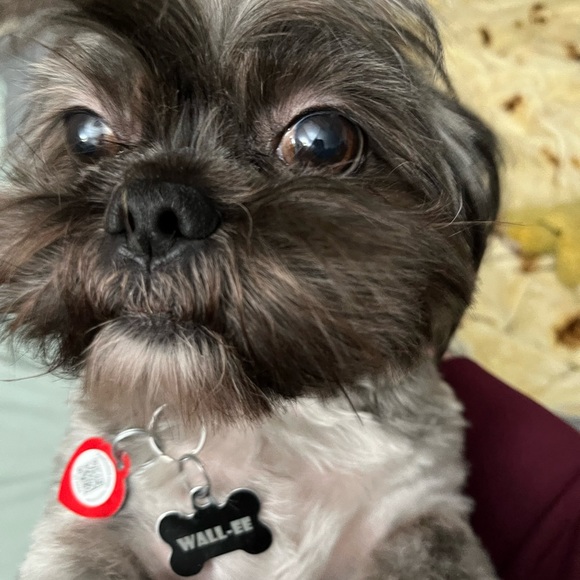 Meet your Posher, Kimberly - Picture 3 of 4